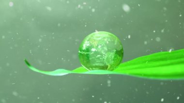 Yeşil yaprağın üzerinde kar yağıyor