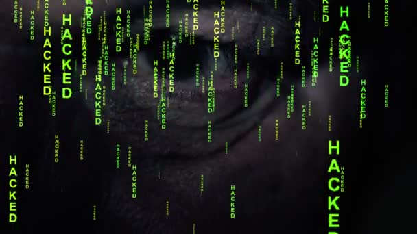 Hacknutá zpráva na obrazovce upozornění systému — Stock video