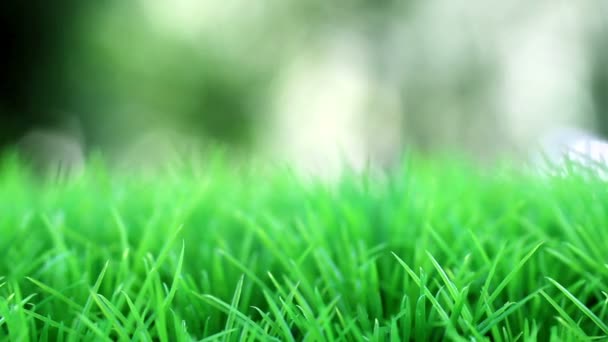 Primer plano de hierba verde — Vídeos de Stock