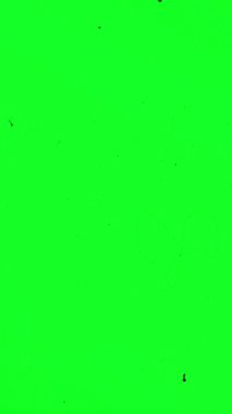 Dust and scratches on green screen vertical video