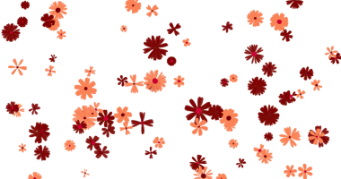 Şeffaf Arkaplanda Renkli Çiçek Patlaması Deseni