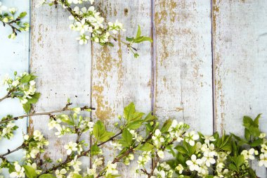 Tahta arka planda güzel bahar çiçekleri