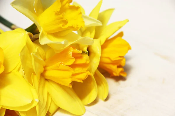 Beautiful Yellow Narcissus Wooden Background — Stock Photo, Image