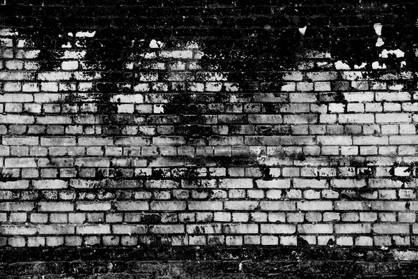 Тёмная Кирпичная Стена — стоковое фото