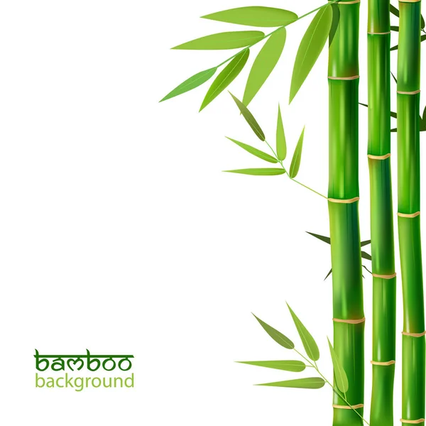Vector Illustration of an Abstract Background with Bamboo — Stock Vector