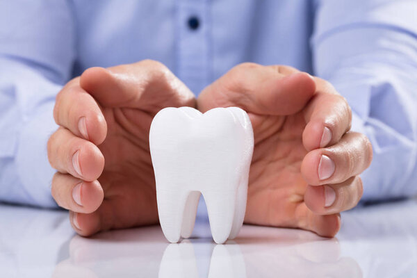 Man's Hand Protecting Healthy Hygienic White Tooth On Reflective Table