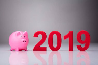 Yıl 2019 yansıtıcı arka plan üzerinde yanı sıra pembe servet