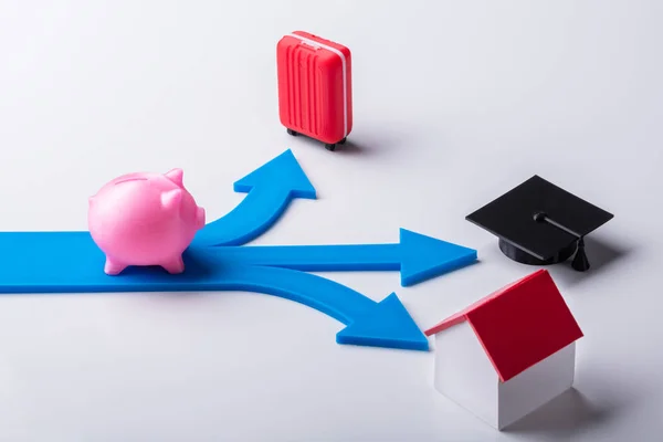 Piggybank Rosa Setas Azuis Mostrando Várias Opções Sobre Fundo Branco — Fotografia de Stock