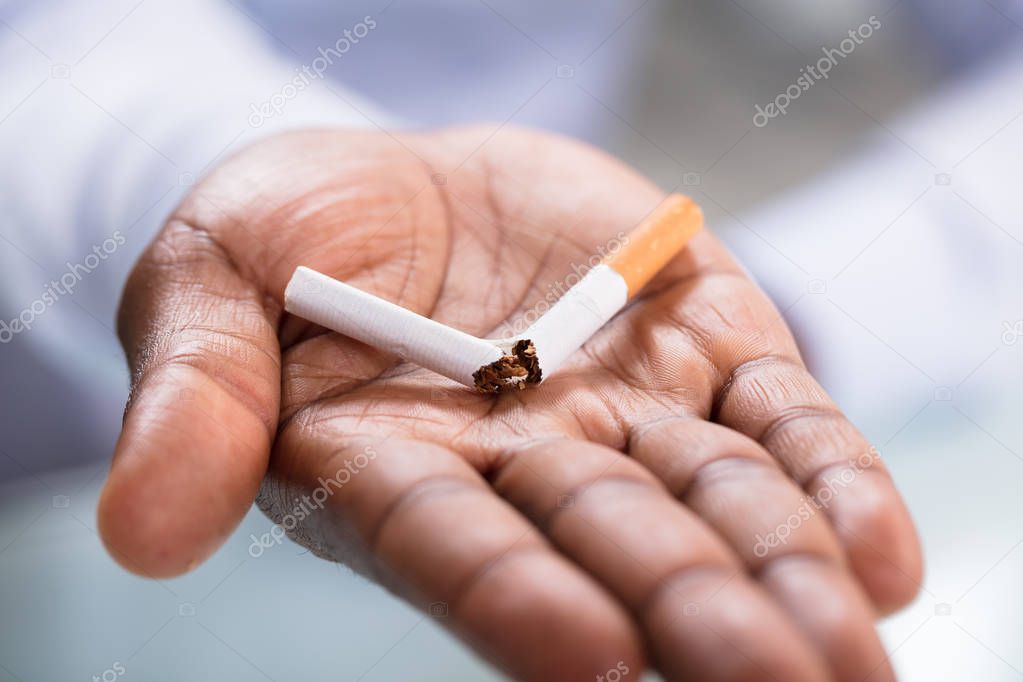 Macro Shot Of A Person Holding Broken Cigarette
