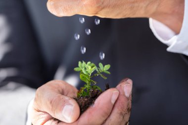Bir kişinin el için fidan sulama yakın çekim