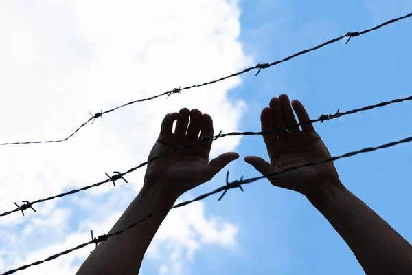 有刺鉄線の柵を持っている難民手の低断面図 — ストック写真