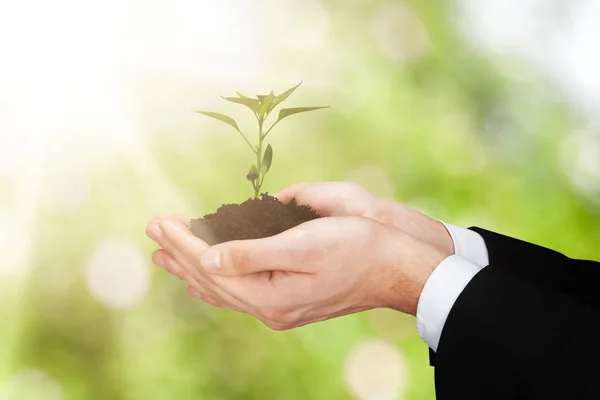 Close Person Hand Holding Small Plant Soil — Stock Photo, Image