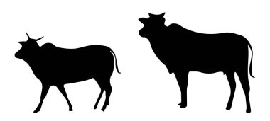 Silhouette inek ve Dana beyaz arka plan üzerinde duran