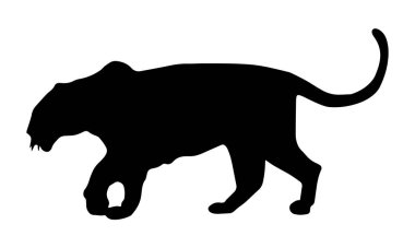 Siyah beyaz arka plan üzerinde yürüyen bir leopar silüeti
