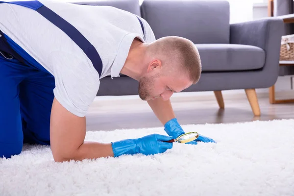 Side View Young Male Janitor Looking Carpet Magnifying Glass Dalam — Stok Foto
