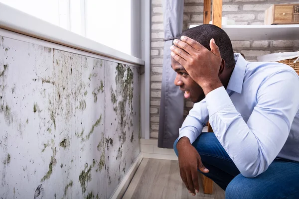 Side View Shocked Young African Man Looking Mold Wall — Stock Photo, Image