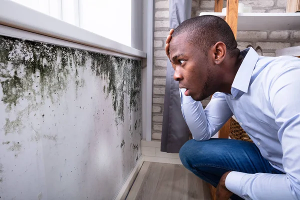 Side View Shocked Young African Man Looking Mold Wall — Stock Photo, Image