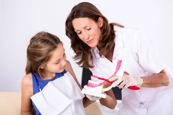 Menina Olhando Para Dentista Feminino Limpeza Dentes Modelo Com Escova — Fotografia de Stock