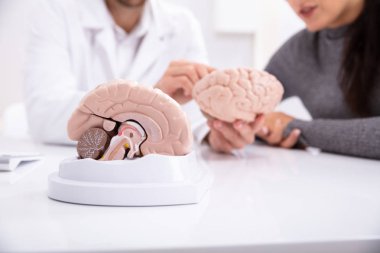 Mutlu kadın modeli ile insan beyni ayrıntılarını açıklayan doktor