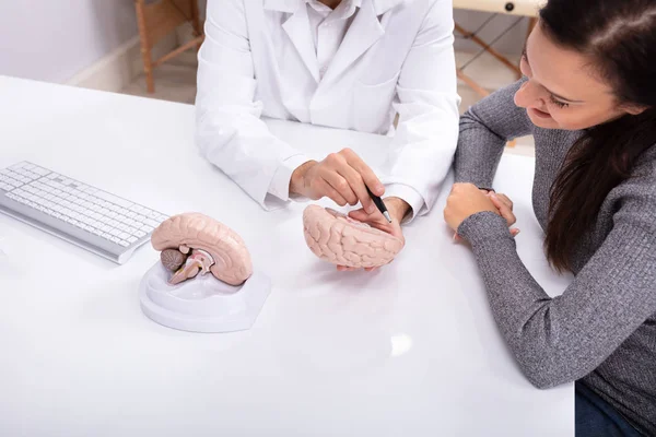 Medico Spiegando Dettagli Del Cervello Umano Donna Felice Con Modello — Foto Stock