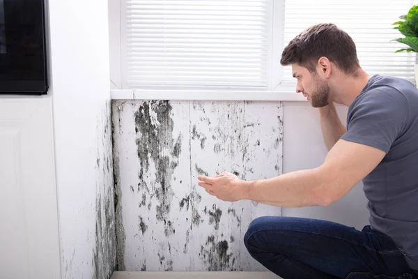 Side View Young Man Looking Mold Wall — Stock Photo, Image