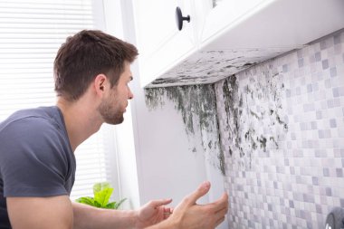 Side View Of A Young Man Looking At Mold On Wall clipart