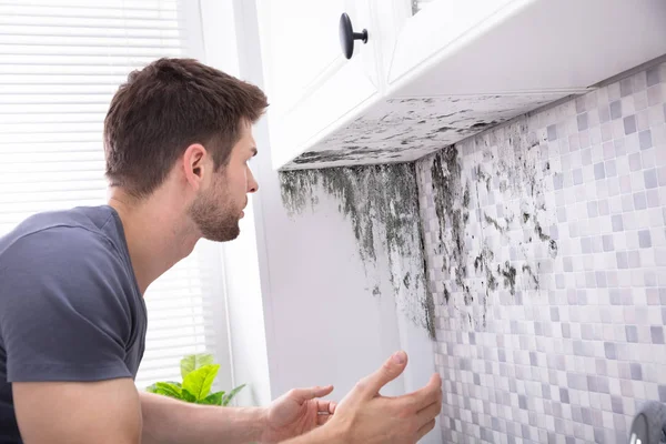 Seitenansicht Eines Jungen Mannes Der Schimmel Der Wand Betrachtet — Stockfoto