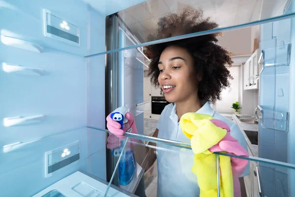 Close-up Of A Happy Young Woman Cleaning Refrigerator With A Spray Detergent