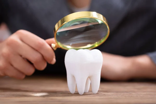 一个人在木桌上拿着放大镜在健康的白牙上的特写镜头 — 图库照片