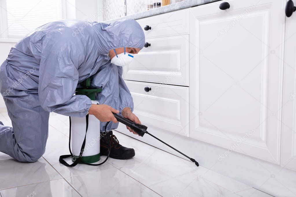 Male Exterminator Wearing Safety Cloths Spraying Pesticide In Kitchen 