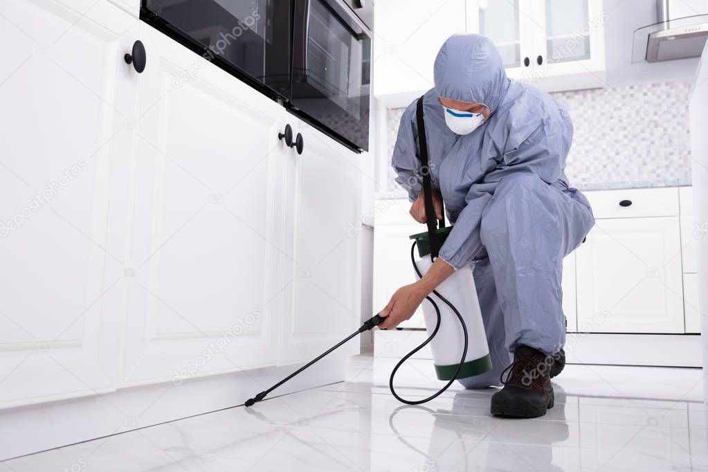 Close-up Of A Pest Control Worker's Hand Spraying Pesticide On White Cabinet