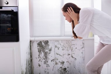 Side View Of A Young Woman Looking At Mold On Wall clipart