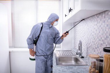 Erkek Haşere Kontrol İşçisi Mutfağa böcek ilacı sıkıyor