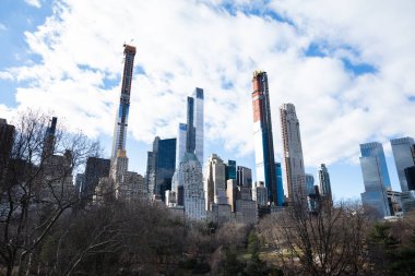 New York 'taki Central Park' ta çıplak ağaçlı yeni binalar