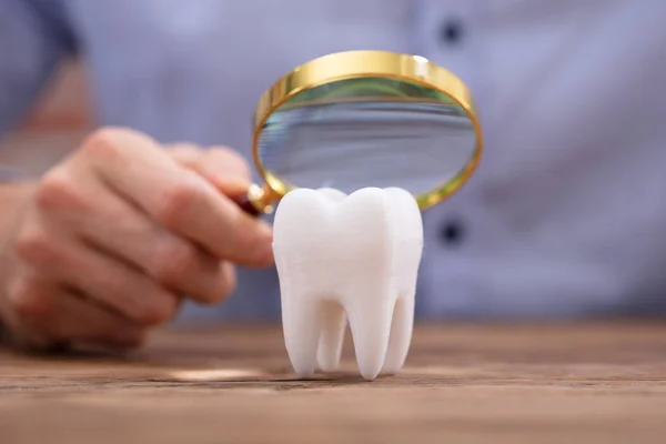 Close Uma Pessoa Segurando Lupa Sobre Dente Branco Saudável Mesa — Fotografia de Stock