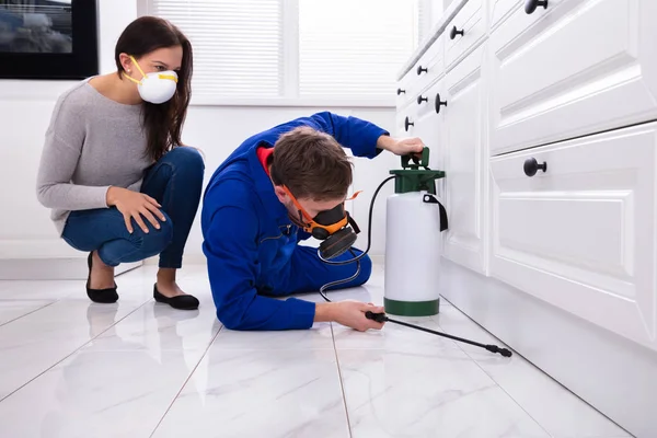 여성보기 Pest Control Worker Spraying Pesultion Wooden Cabinet — 스톡 사진