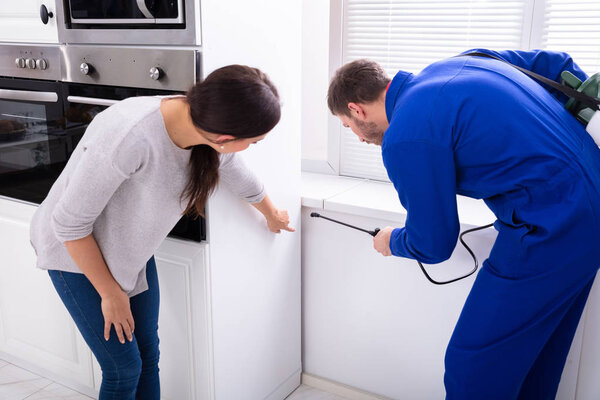 Male Worker Spraying Insecticide Chemical In Front Of Housewife In Kitchen