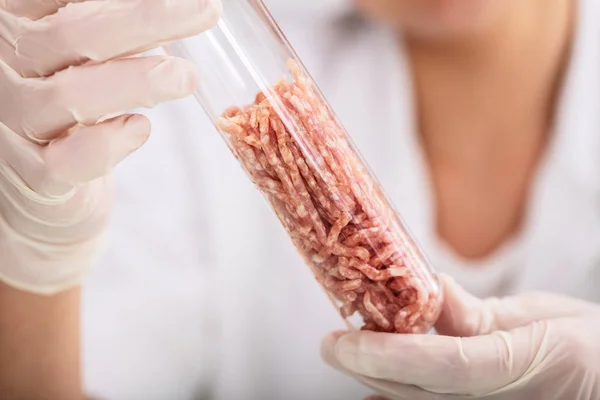 Scientist Hand Skyddshandske Hålla Konstgjord Kött Laboratorietest Röret — Stockfoto