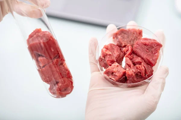 Close Mãos Cientistas Segurando Carne Crua Tubo Teste Prato Laboratório — Fotografia de Stock