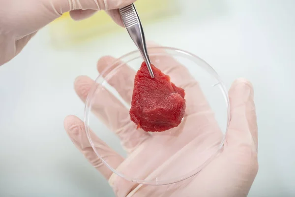 研究室で肉サンプルを検査する研究者のクローズアップ — ストック写真
