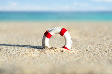 Sahilde Kumda Minyatür Lifebuoy Kazmayakın Çekim