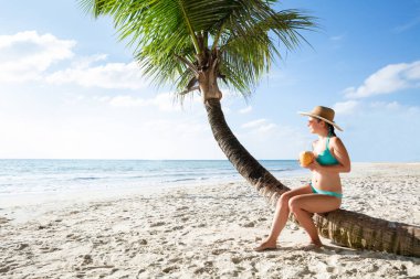 Bikini giymiş genç bir kadın Palm Tree Bagajında oturmuş sahilde hindistan cevizi suyu içiyor.
