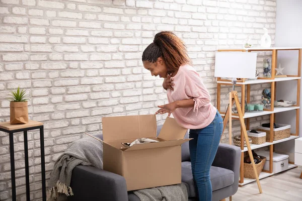 Happy Woman Opening The Parcel Box At Home