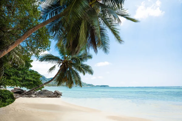 Vistas Panorámicas Turtle Bay Beach Isla Mahe Seychelles —  Fotos de Stock