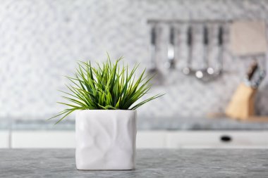 Mutfak tezgahında yeşil yapraklı beyaz tencere