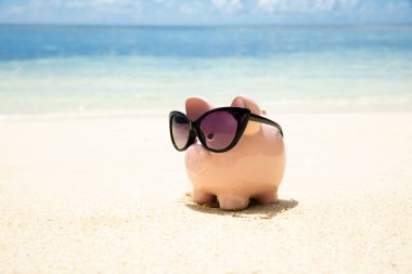 Pembe Piggybank Plajda Kum Üzerinde Siyah Güneş Gözlüğü Giyen