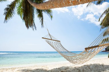 Anse Baleine Plajı'nda Palmiye Ağacında Bağlanmış Hamak Yakın Çekim, Mahe Adası, Seyşeller