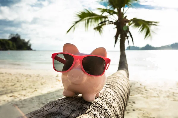 Närbild Pink Piggybank Med Solglasögon Trädstam Stranden — Stockfoto