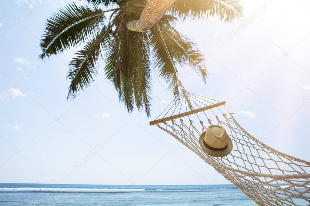 Close-up Of Hat On Hammock Under The Palm Tree Against Blue Sky