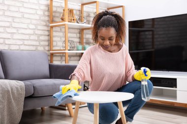 Gülümseyen kadın hademe tablo sprey şişeyle evde temizlik